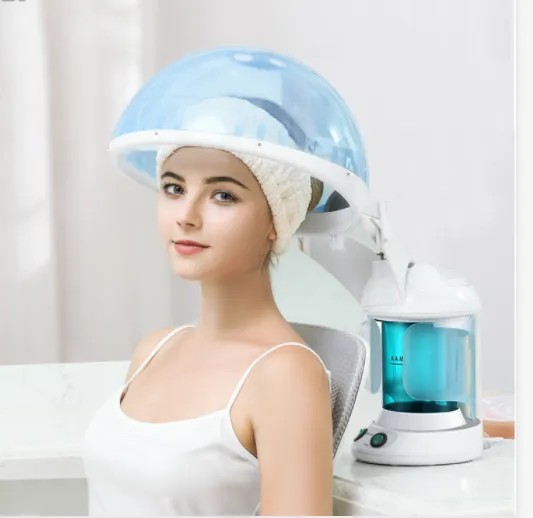 DL015 Hot Mist Nano Facial and Hair Steamer